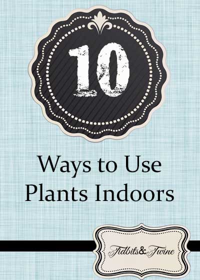 10 Ways to Use Plants Indoors