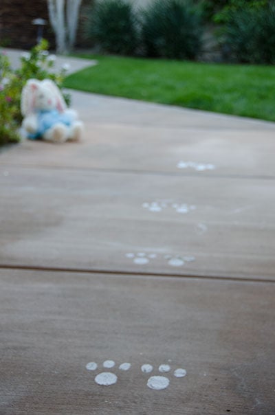 Easter bunny footprint tracks