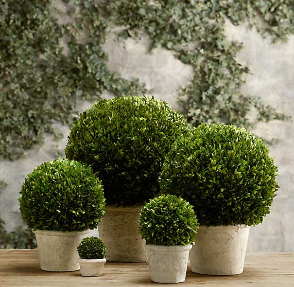 Restoration Hardware Boxwood Globes