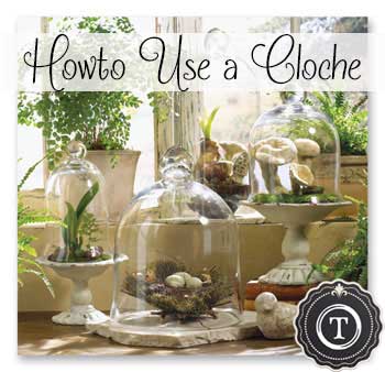 How to Use a Cloche