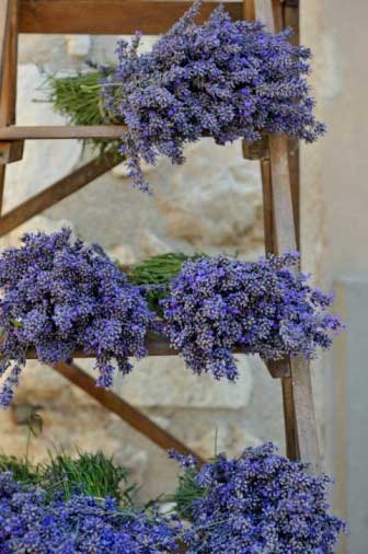 Lavender Bunches