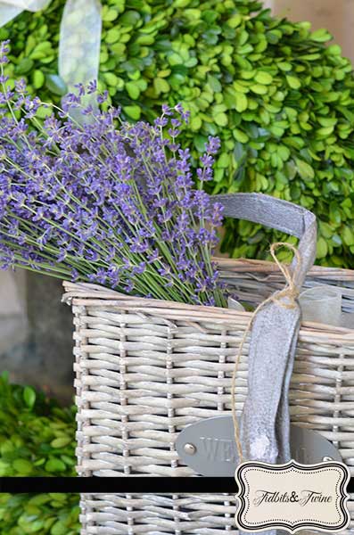 Lovely, Lovely Lavender!