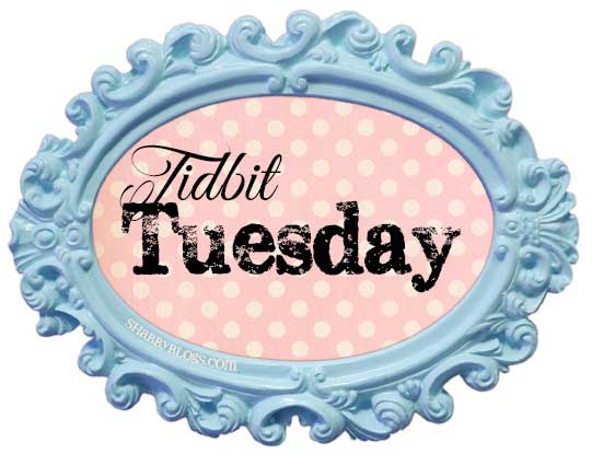 Tidbit Tuesday – Keep a File of Inspirational Pictures