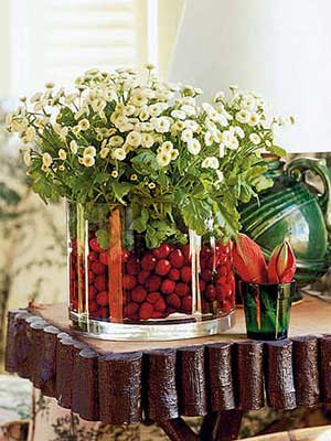 Vase filled with cranberries