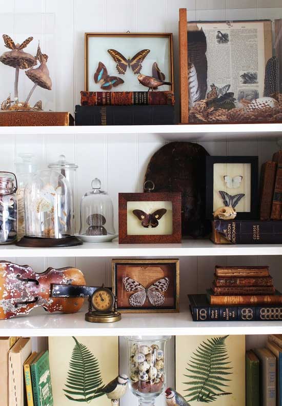 4 More Creative Ways to Display Your Collections