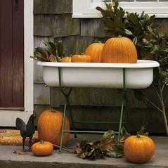 Baby Bathtub - Front Porch Display