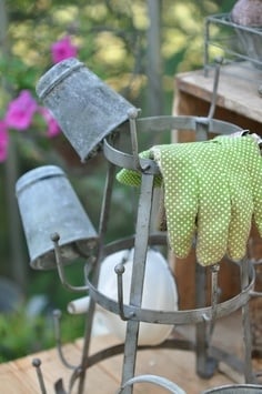 Bottle Rack - Gardening