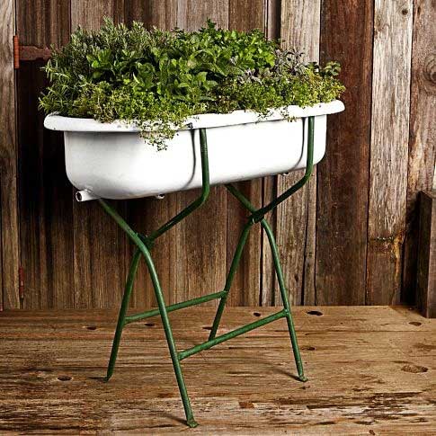 Vintage Baby Tub Herb Garden