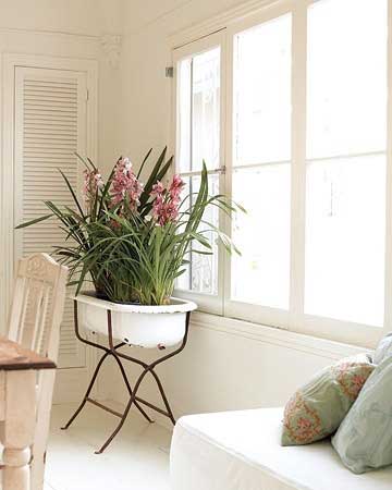 Vintage Baby Tub Indoor Planter