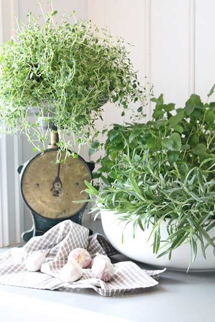 via Pinterest. A vintage scale used as a plant stand for an indoor herb garden.