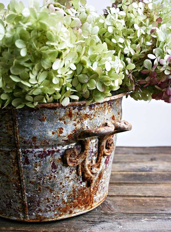 hydrangeas in rusty bucket - Tidbits&Twine