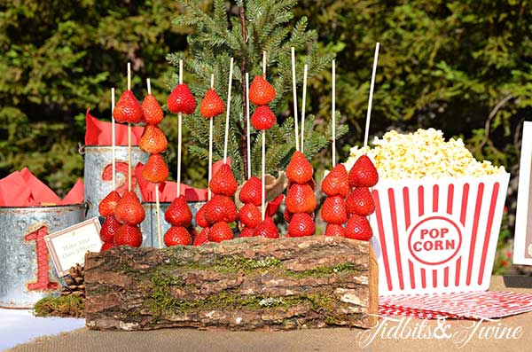 Tidbits & Twine Strawberries on a Log