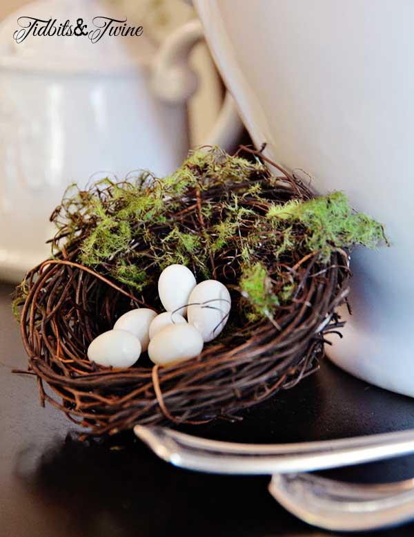 Closeup of bird's nest with moss on one side and six small white finch eggs inside