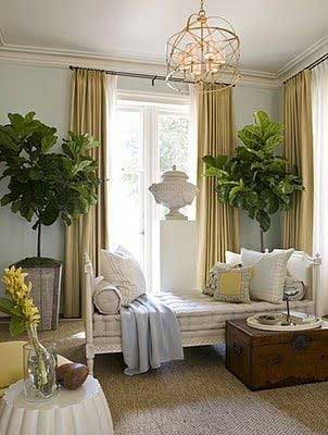 Tidbits&Twine Fiddle Leaf Fig