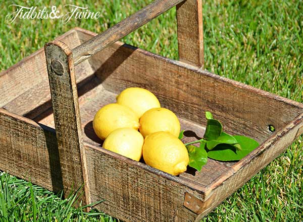 Tidbits&Twine Fruit Basket