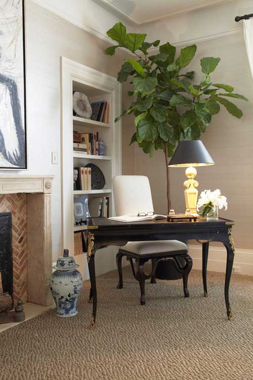 Tidbits&Twine Office Fiddle Leaf Fig