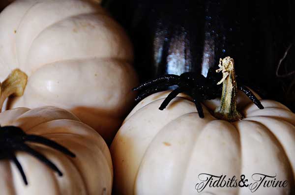 Tidbits&Twine Pumpkins and Spiders