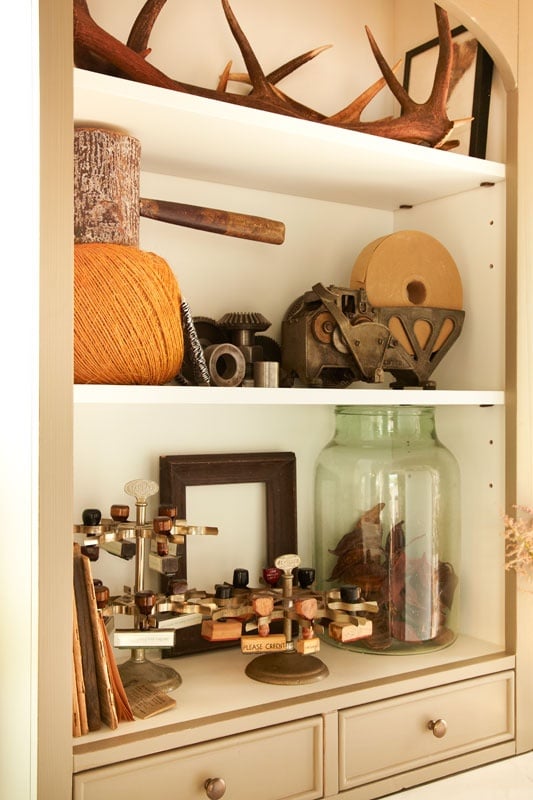 Antler Bookcase Display