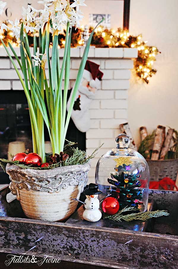 Tidbits&Twine-Christmas-Coffee-Table-2