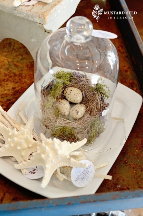 Bird Nest Cloche