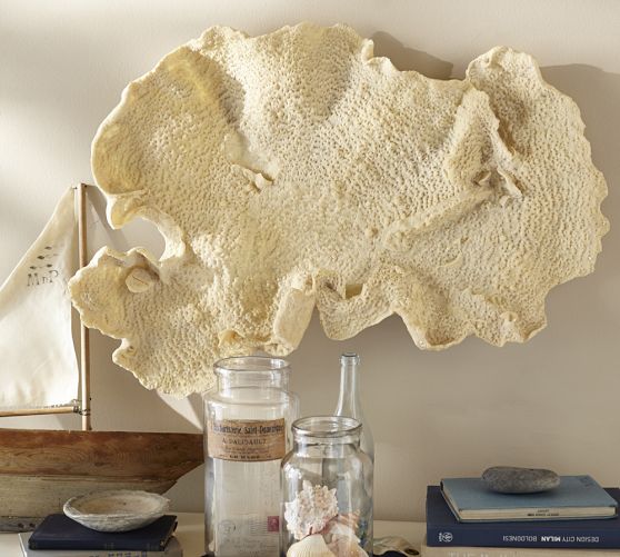 Large piece of fan coral hanging on the wall above jars with seashells and a small wooden boat