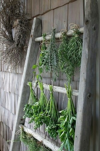 Vintage Ladder Herbs