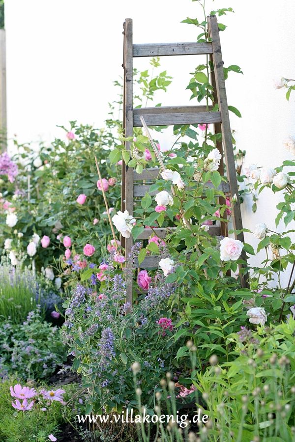 Vintage Ladder Outdoor Garden