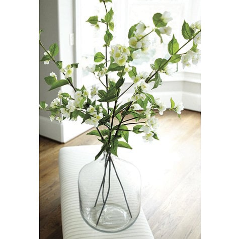 Ballard Designs Philadelphus Branch