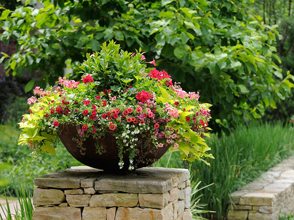 Beautiful flower pot framing house entrance