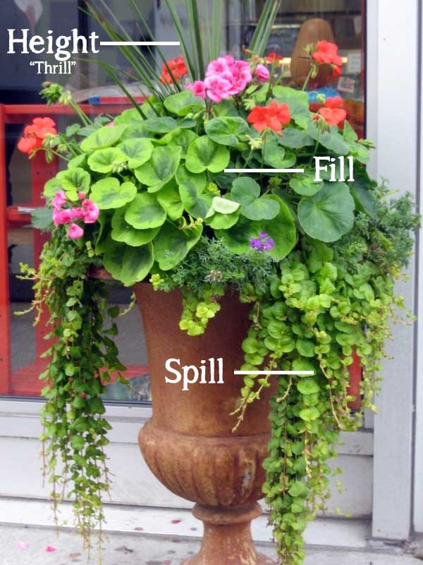 The Simple Formula for a Beautiful Container Garden