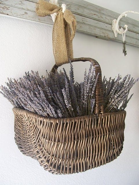 TIDBITS & TWINE Dried Lavendar Basket