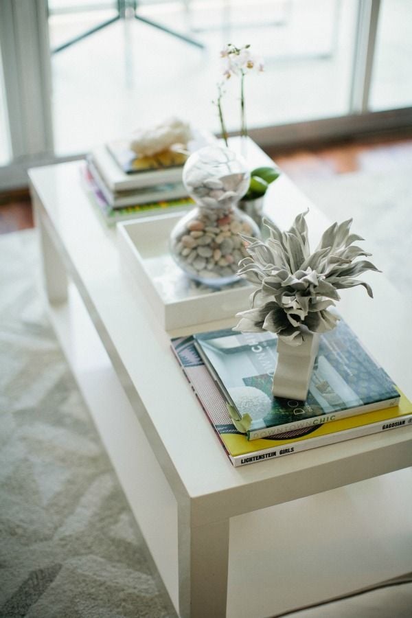 Closeup of white coffee table with an air plant and small orchid on top