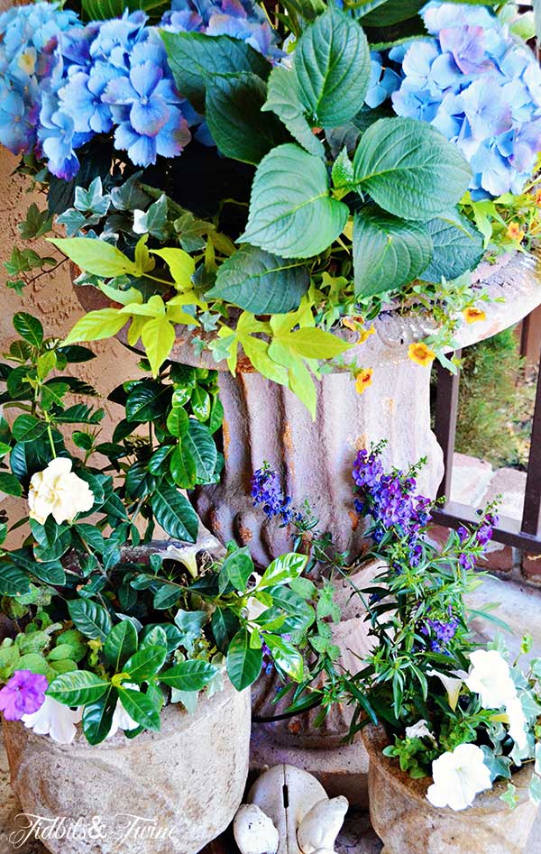 25+ Favorite French Planters for the Yard