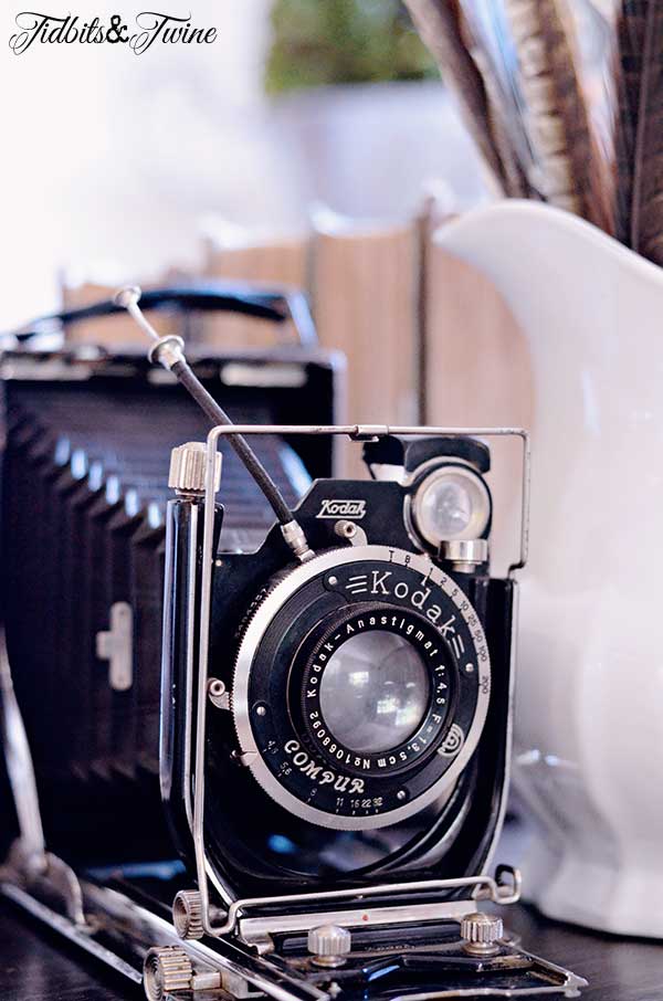 Shopping for Vintage Cameras, Ironstone & More