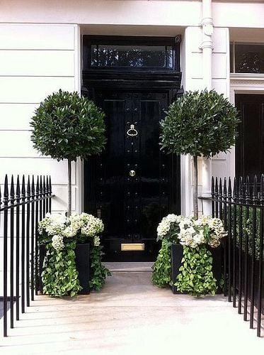 Black front door with transom above and large potted topiaries flanking the door