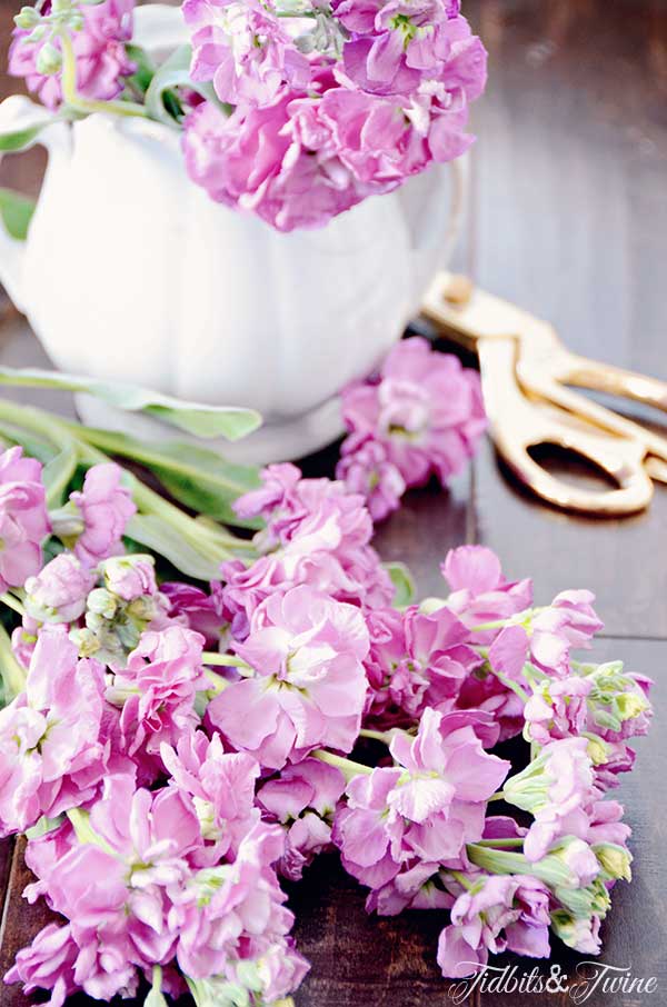 TIDBITS-&-TWINE-Gold-Scissors-and-Stalk