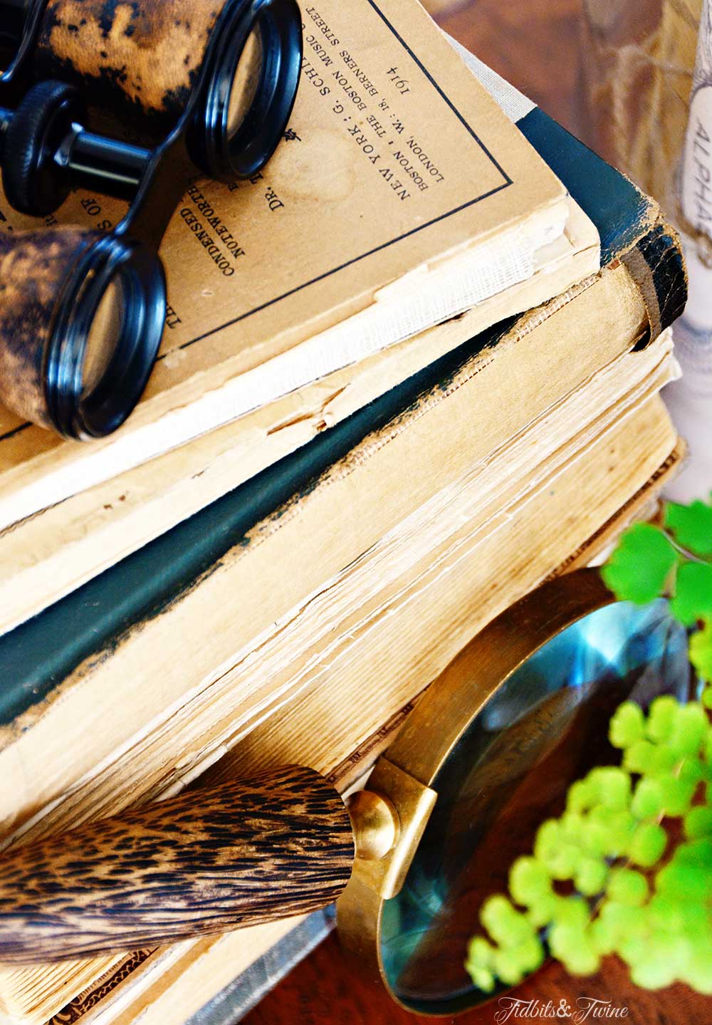 TIDBITS&TWINE Cloche Display with Vintage Books