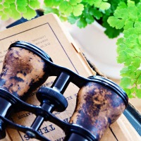 TIDBITS&TWINE Vintage Opera Glasses and Old Books