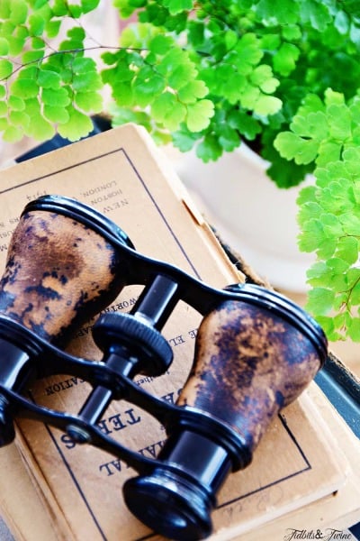 TIDBITS&TWINE Vintage Opera Glasses and Old Books