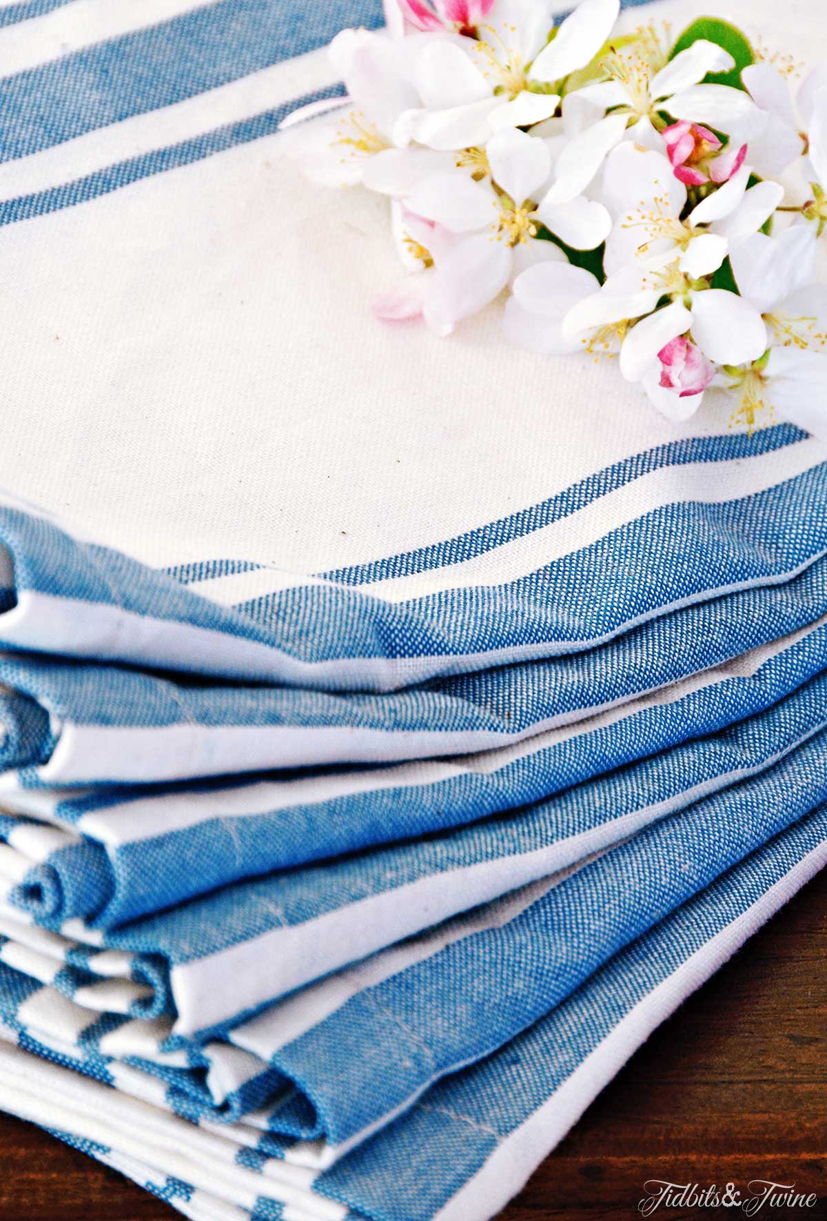 TIDBITS&TWINE Blue Striped Napkins