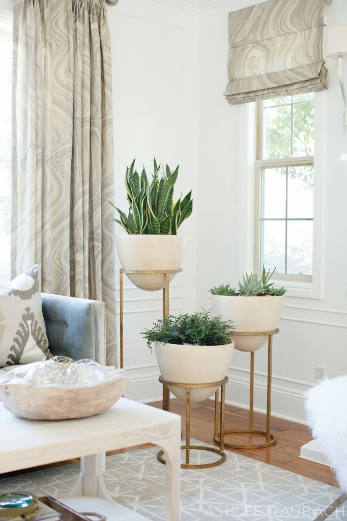 grouping of three houseplants in white containers on gold stands in a living room corner