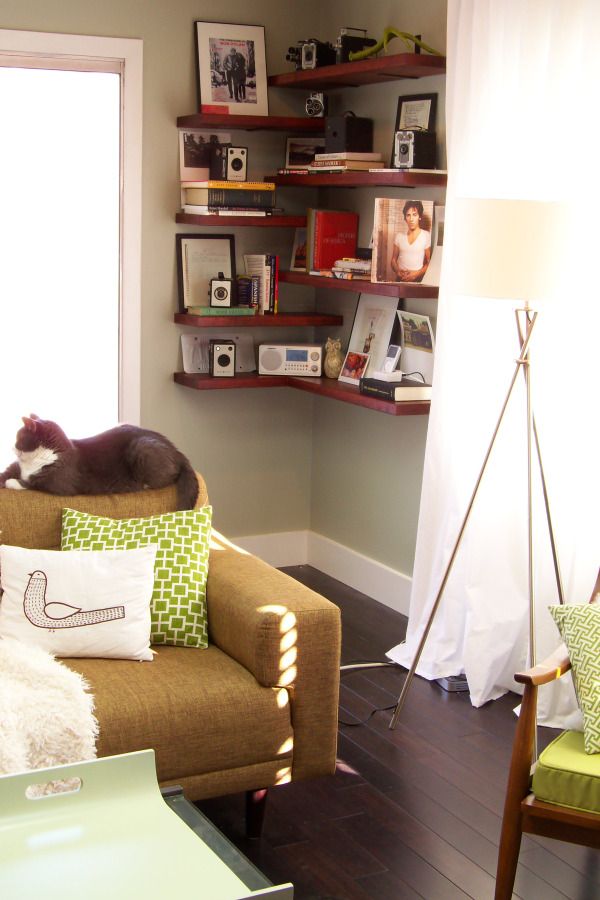 brown floating shelves in an empty corner living room filled with antique camers and books next to a gray cat on a sofa