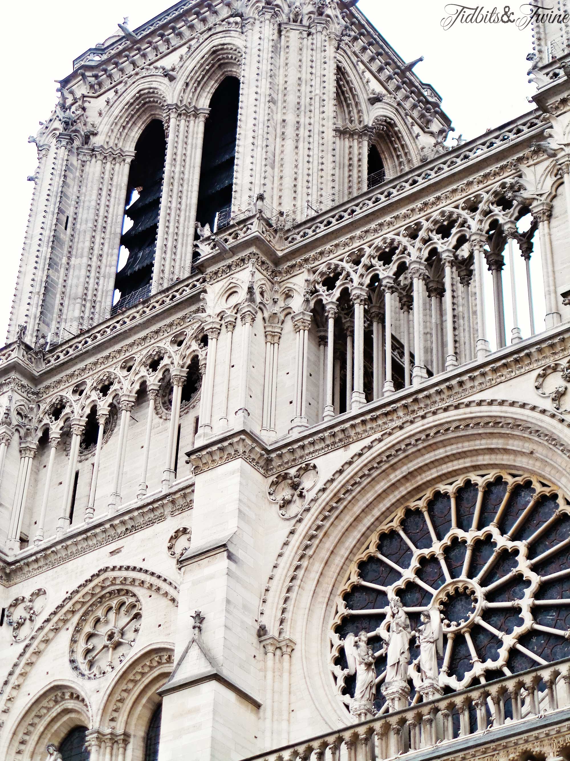 TIDBITS&TWINE-Notre Dame Spring 2015