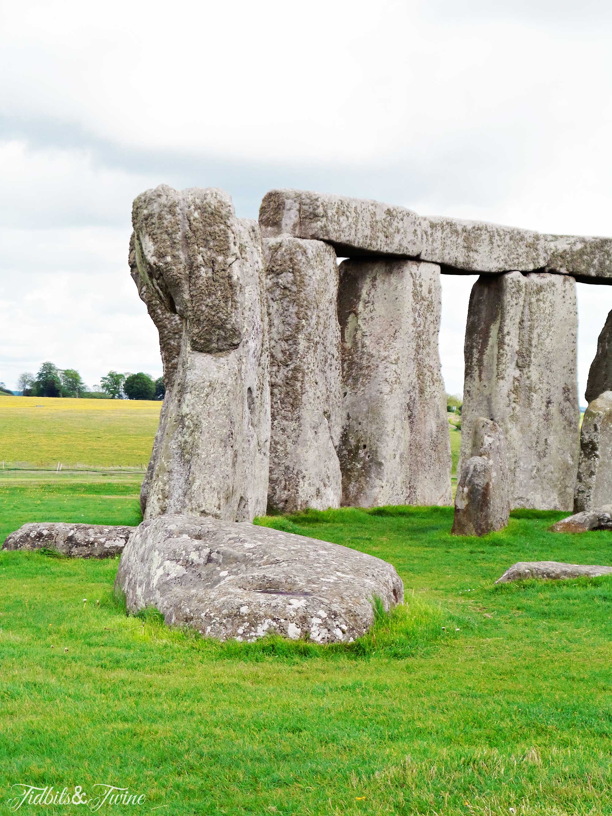 TIDBITS&TWINE---Stonehenge