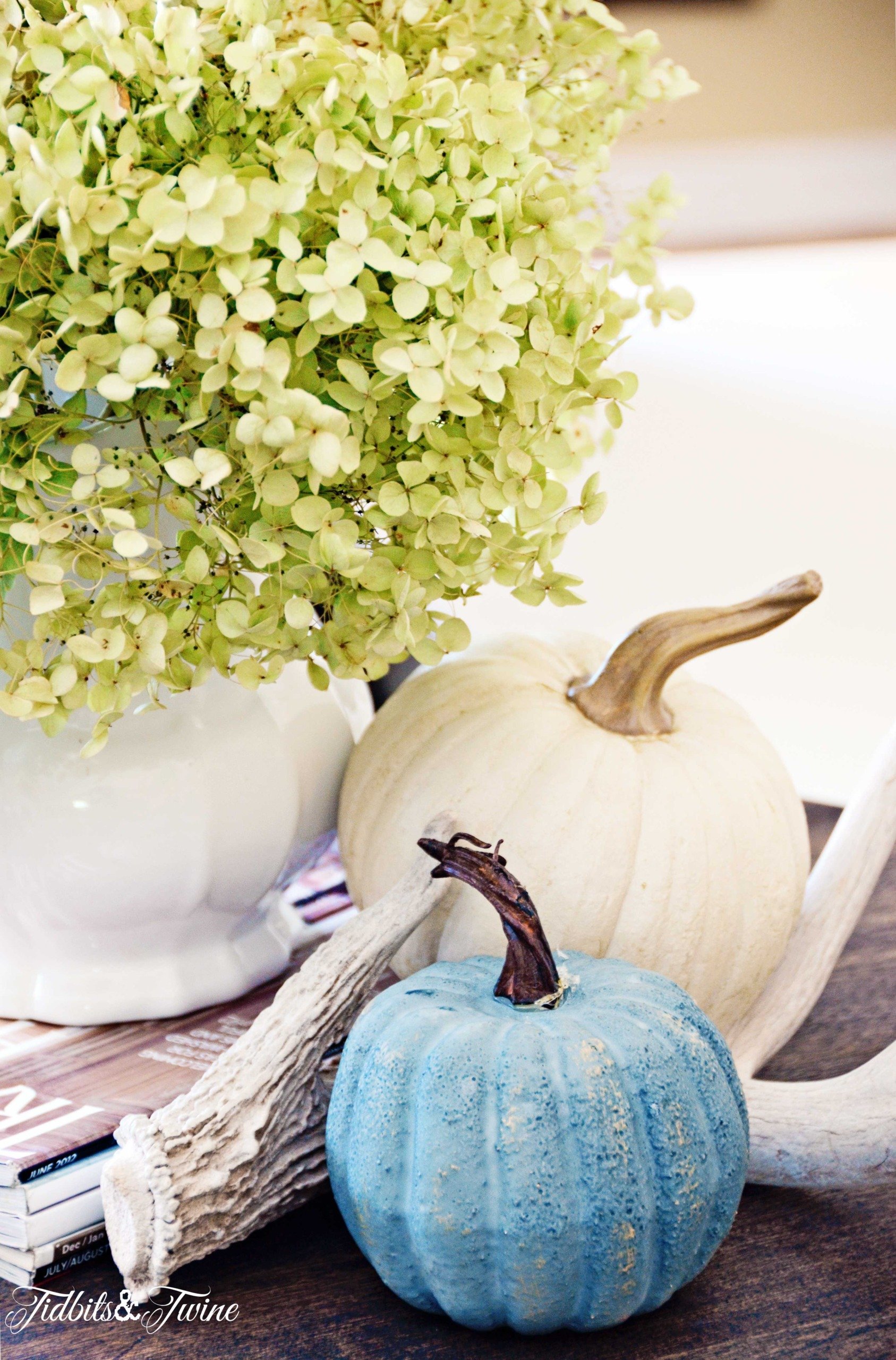 white pitcher with green dried hydrangea and white and blue pumpkins at the base with antler