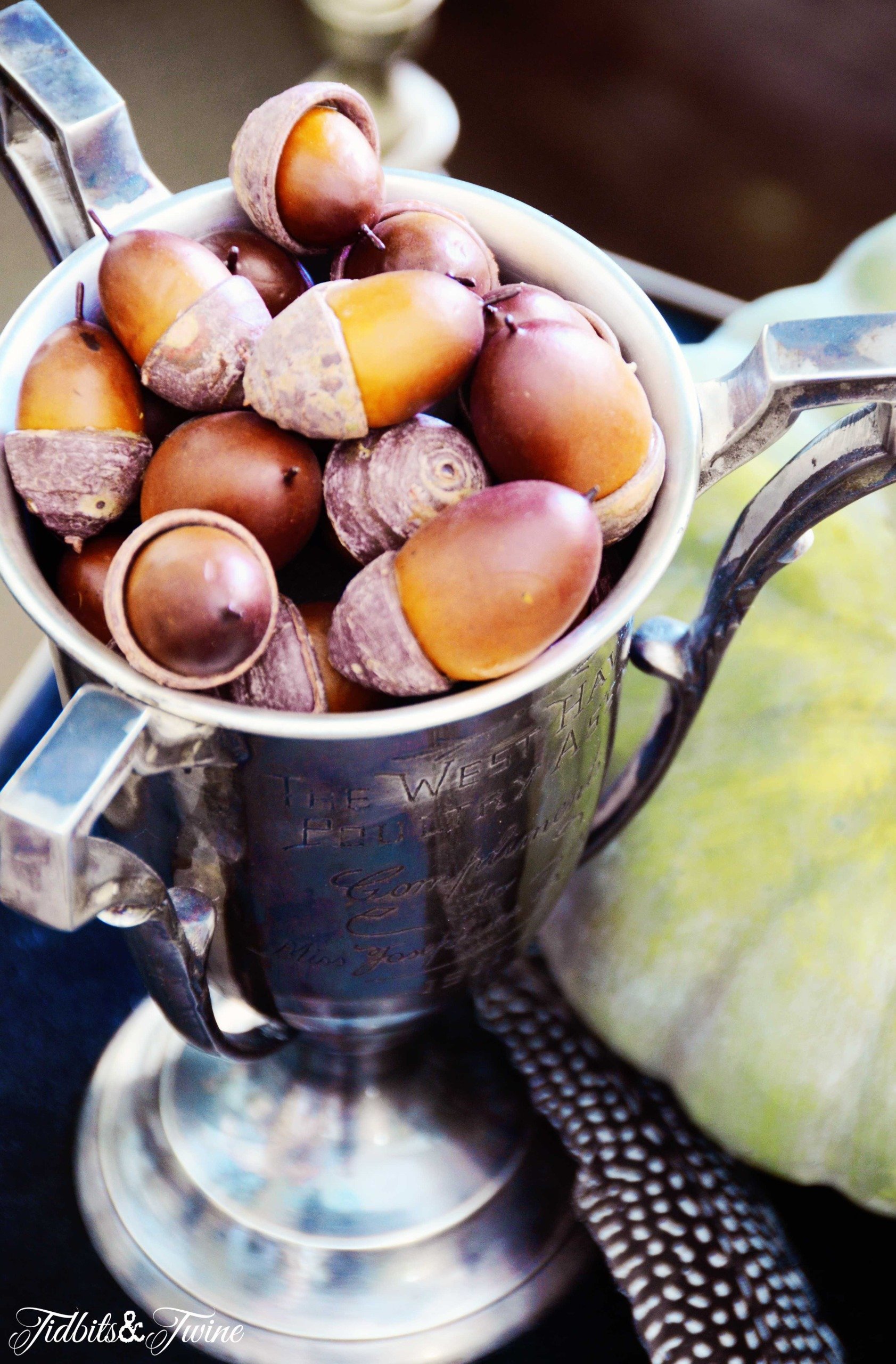 vintage trophy cup filled with acorns for fall and green pumpkin and feather at base