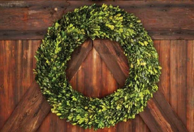 Large Boxwood Wreath Antique Farmhouse