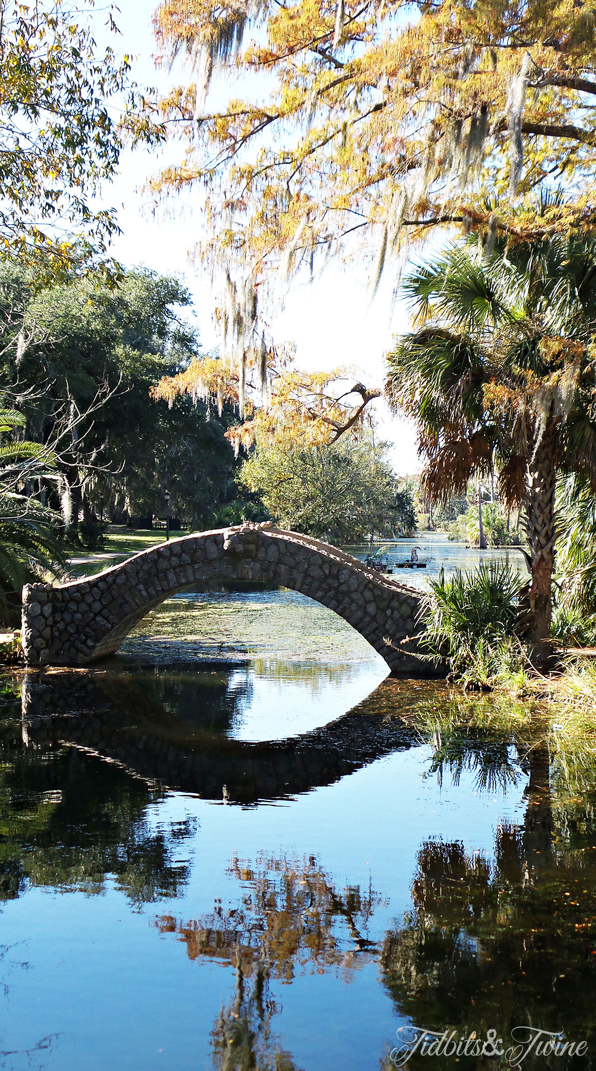 TIDBITS&TWINE-Bayou-New-Orleans