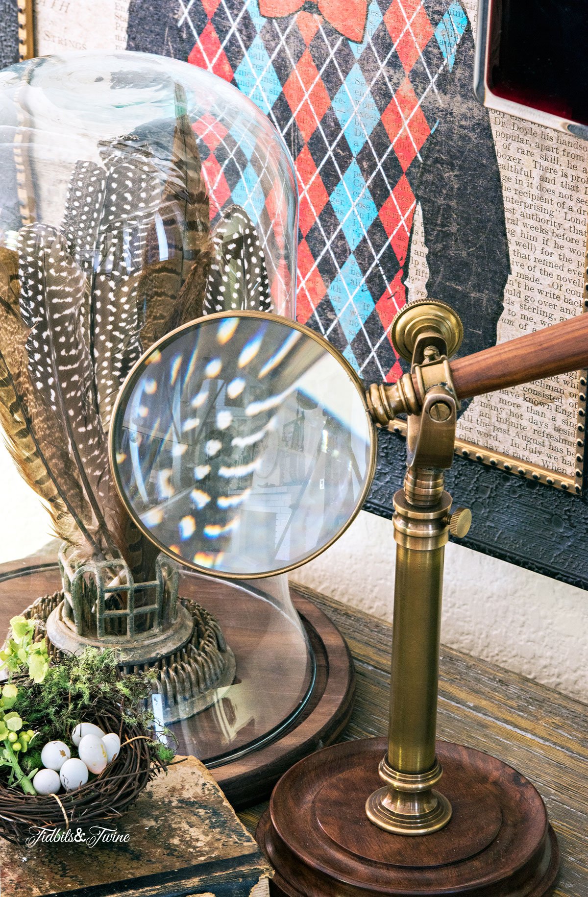 Magnifying glass showing bird feathers under a cloche next to a nest with bird eggs