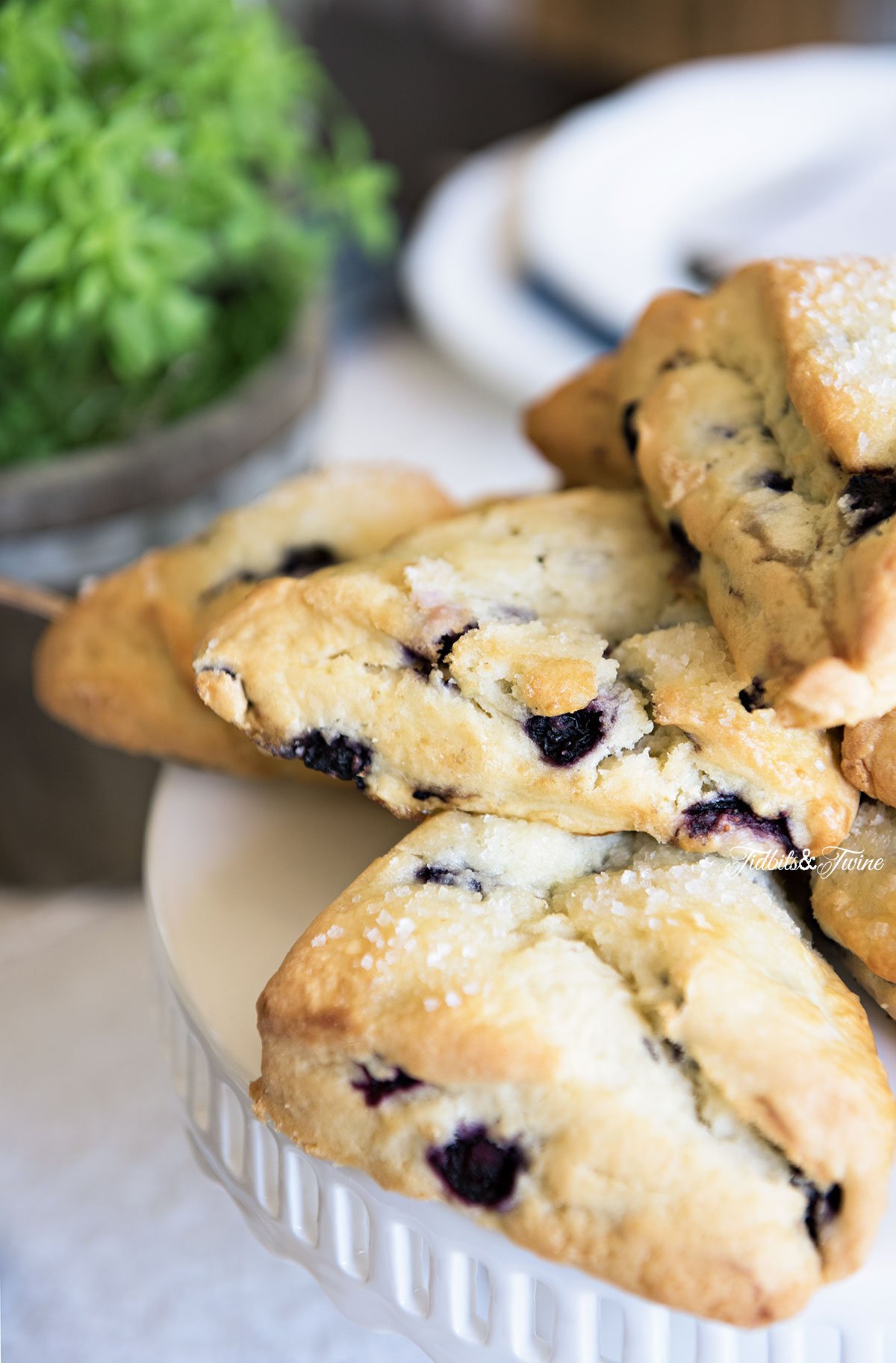 TIDBITS&TWINE Spring Dining Table Blueberry Scones